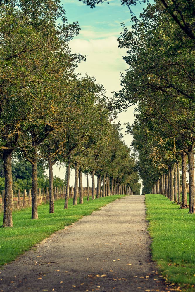 mein-weg My Way - was werde ich bis Ende 2025 erreichen?