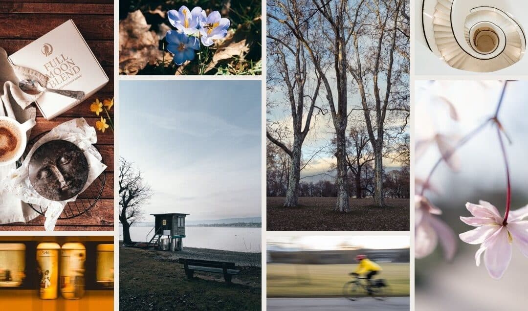 Warum ich eine 365 Tage Foto Challence habe